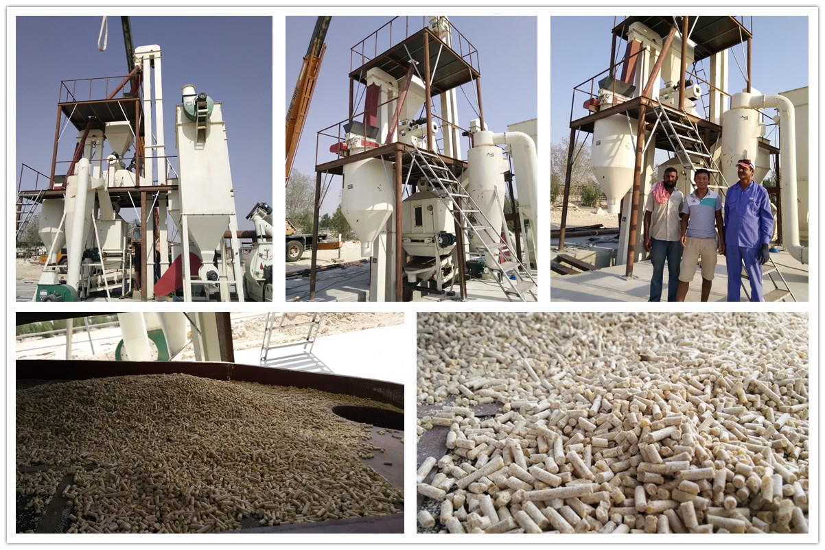 2-3 т/ч Линия по производству кормовых пеллет в Катаре