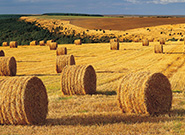 Изготовление соломенных пеллет