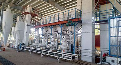 What is the Prospect of the Wood Pellet Plant
